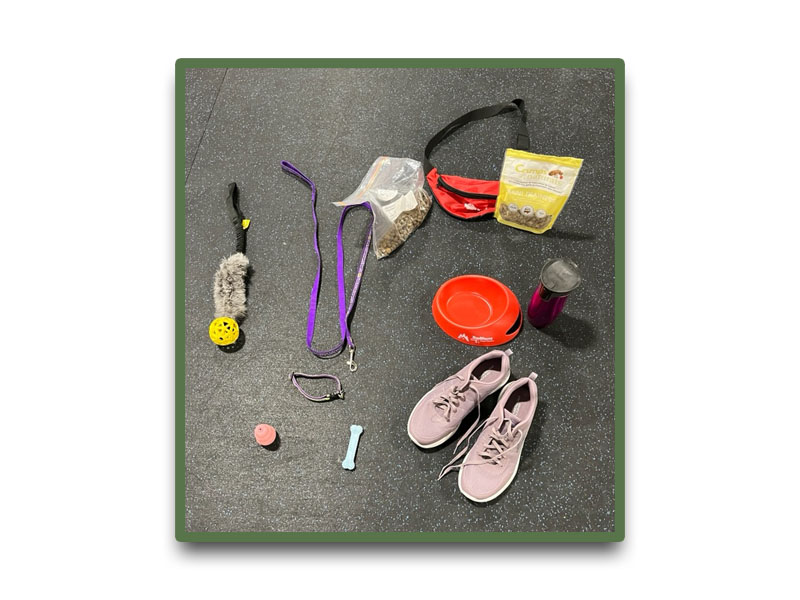 What should be in your training bag?